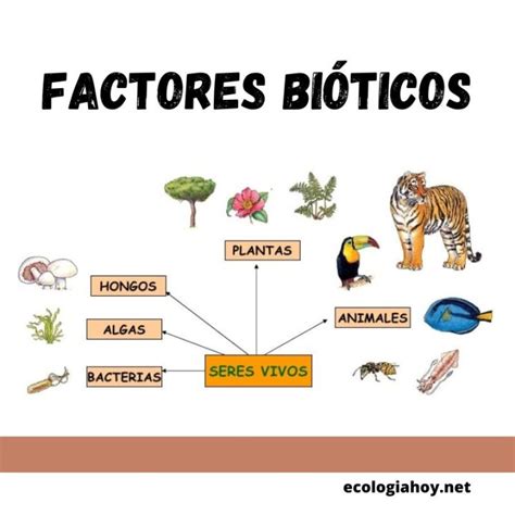 que son los factores bioticos